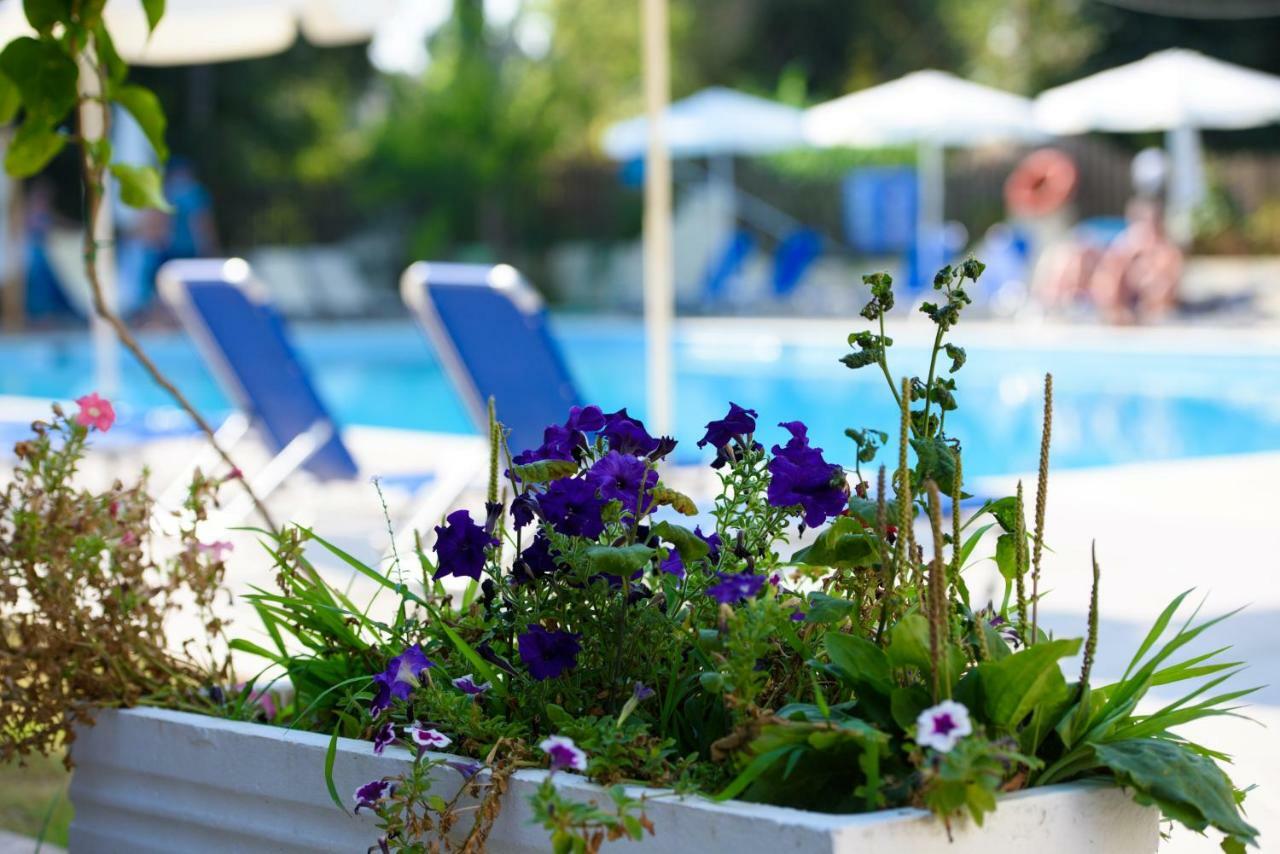 Amalia Hotel - Adults Only Dassia (Corfu) Exterior foto